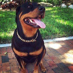 Meet your Posher, Josh